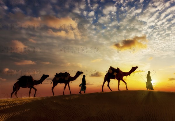 Travel background, two cameleers (camel drivers) with camels silhouettes in dunes of desert on sunset