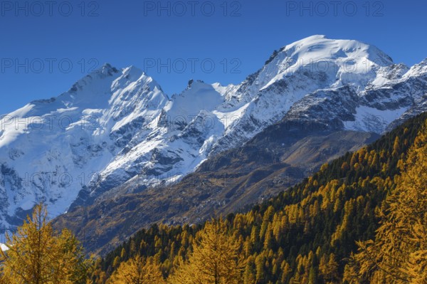 Piz Bernina, 4049 m, Piz Morteratsch, 3751, Biancograt, Upper Engadine, Grisons, Switzerland, Europe