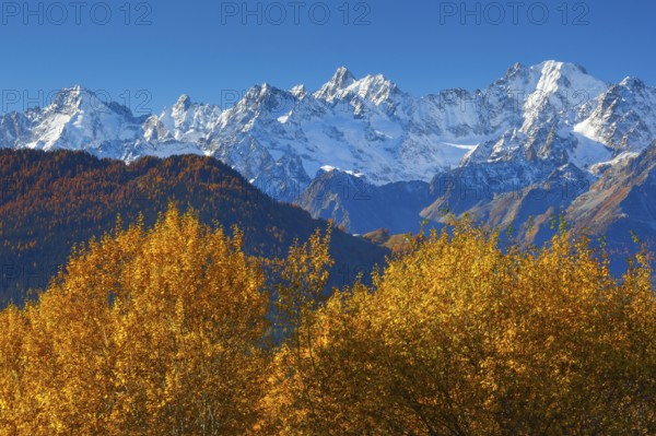 Mont Dolent, 3820m, Aguille d'Argentiere, 3901m, Aguille Verte, 4122m, view from Verbier, France, Europe