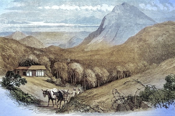 The Bay of Rio de Janeiro as seen from Mont Empereur, 1869, Brazil, Historic, digitally restored reproduction of an original 19th century artwork, exact original date unknown, South America