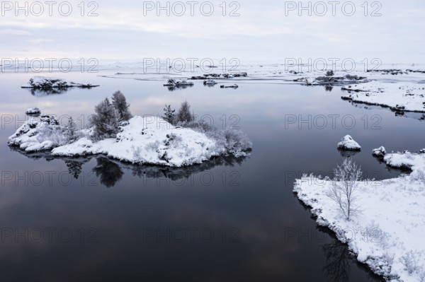 Snow-covered small islands overgrown with bushes in Lake Myvatn, at blue hour, Kalfaströnd, drone shot, Northern Iceland Eyestra, Iceland, Europe