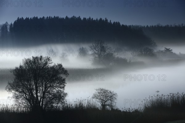 River landscape with ground fog at full moon at night, silhouettes of trees, Alz, Chiemgau, Bavaria, Germany, Europe