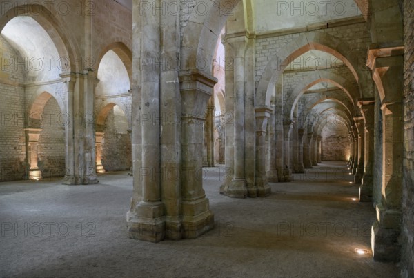 Nave of the Cistercian Abbey of Fontenay, Unesco World Heritage Site, Cote d'Or, Burgundy, France, Europe
