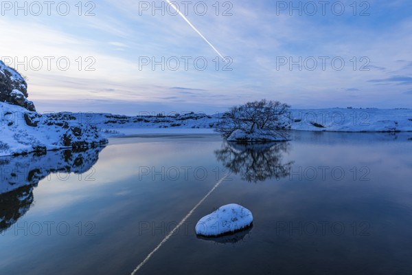 Snow-covered with bushes small island in Lake Myvatn, at blue hour, Kalfaströnd, Northern Iceland Eyestra, Iceland, Europe