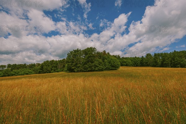 Field and forest, clouds, Lower Austria, Austria, Europe