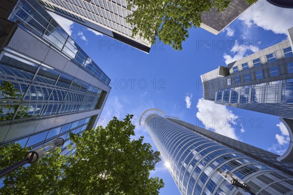 Kronenhochaus, Westend 1, headquarters of DZ Bank and other high-rise buildings from the frog's perspective in Frankfurt am Main, Hesse, Germany, Europe