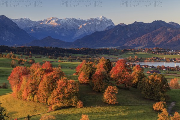 Pre-Alpine landscape with autumnal coloured trees in front of mountains, Riegsee, behind Zugspitze and Wetterstein range, Bavaria, Germany, Europe