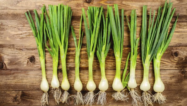 Vegetable, spring onion or spring onion, also known as winter onion, Allium fistulosum