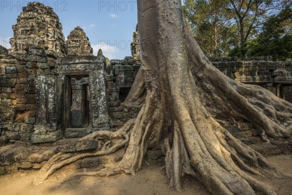 Ta Prohm, Angkor Wat, Angkor, UNESCO World Heritage Site, Siem Reap, Cambodia, Indochina, Southeast Asia, Asia