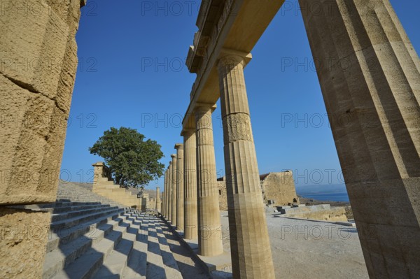 Super wide angle shot, Acropolis of Lindos, morning light, Propylaea with staircase, Lindos, Rhodes, Dodecanese, Greek Islands, Greece, Europe