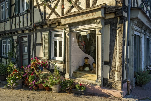 Idyllic old half-timbered house with floral decorations and shop window of milliner, milliner, hat maker, hat salon Rosemann, hat shop, old town, Bad Homburg vor der Höhe, Hesse, Germany, Europe