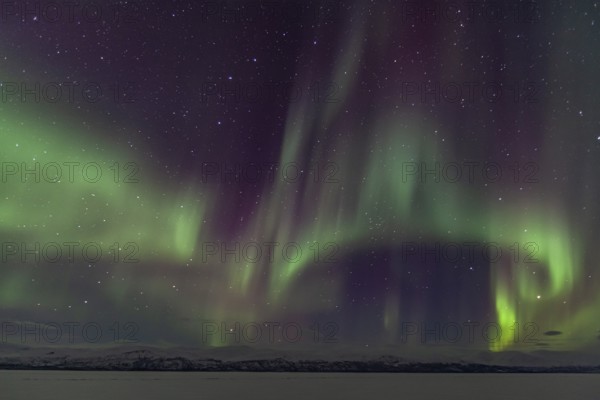 Northern Lights, Aurora borealis, frozen lake, mountains, winter, Torneträsk, Laponia, Lapland, Sweden, Europe