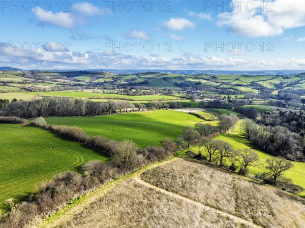 Farms over Road A35 from a drone, Morcombelake Village, Bridport, Dorset, England, United Kingdom, Europe