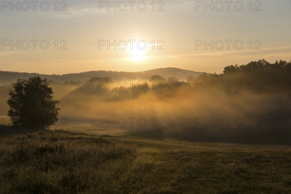 Sunbeams in the morning fog near Cunewalde, Upper Lusatia, Saxony, Germany, Europe