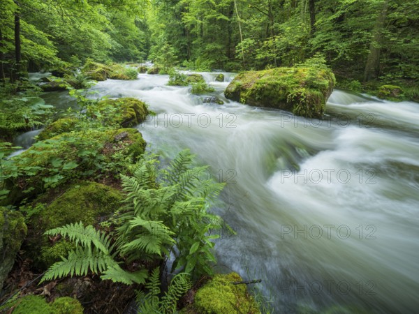 White water and rapids on the Trieb stream in the Triebtal nature reserve in Vogtland, Plauen, Saxony, Germany, Europe