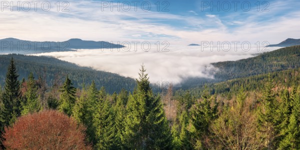 View from the Hindenburgkanzel over endless forests in autumn with valley mist, Bavarian Forest, Lower Bavaria, Bavaria, Germany, Europe