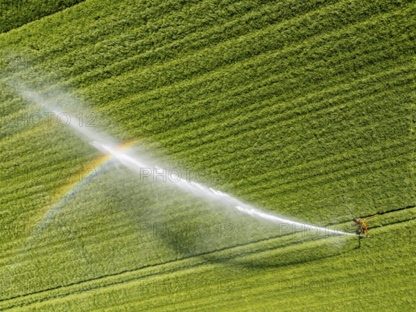 Artificial irrigation of a cereal field in April, with a sprinkler system, long dry spell in spring makes this necessary for the young plants to grow well, Kerken, Lower Rhine, North Rhine-Westphalia, Germany, Europe