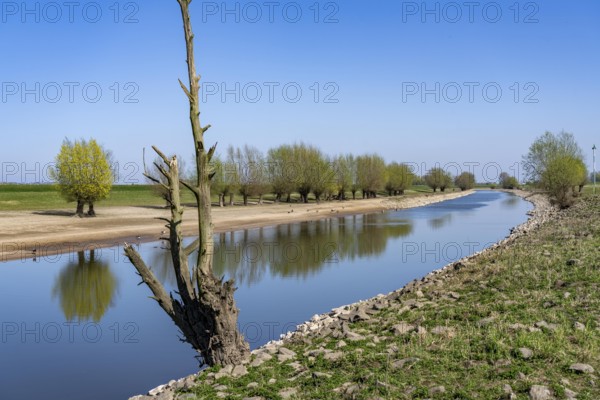 The Gierthausen oxbow lake near Schenkenschanz, Kleve, on the Lower Rhine, North Rhine-Westphalia, Germany, Europe