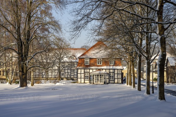The snow-covered Gräflicher Park in Bad Driburg in winter, North Rhine-Westphalia, Germany, Europe