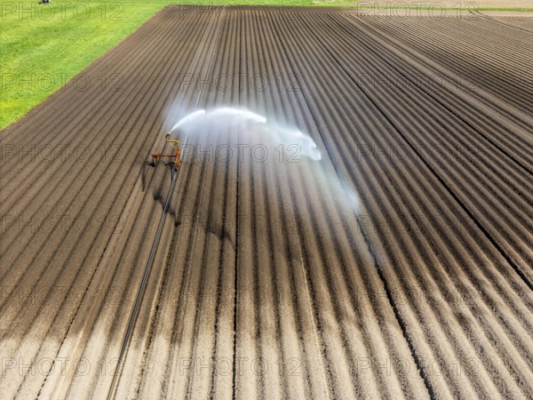 Artificial irrigation of a potato field in April, with a sprinkler system, long drought in spring makes this necessary, for the total of 7.5 hectares 3 full days are needed to get the necessary moisture for the freshly sown potato plants, south of Straelen, Lower Rhine, North Rhine-Westphalia, Germany, Europe