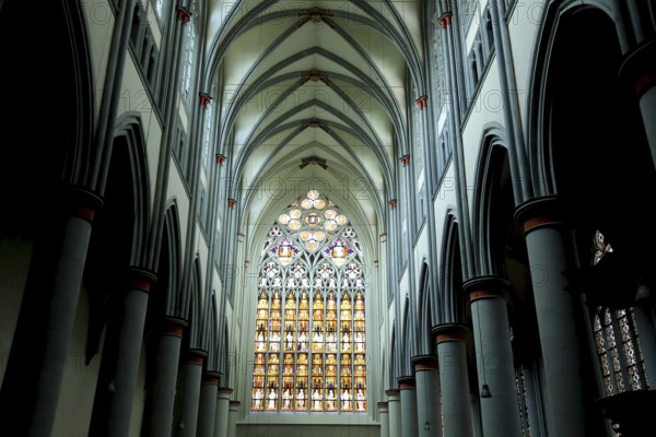 Ceiling vault and stained glass windows of the west façade, Altenberg Cathedral, Bergischer Dom, former monastery church of Altenberg Abbey, built by the Cistercians in 1133, Rheinisch-Bergischer Kreis, administrative district of Cologne, North Rhine-Westphalia, Germany, Europe