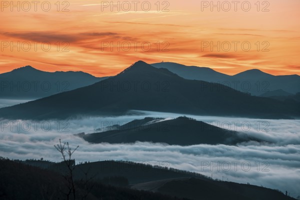 Detail of the fog about to rise in the sun Dawn cloudy one morning in the valley of Lesaka, Navarra. Basque Country