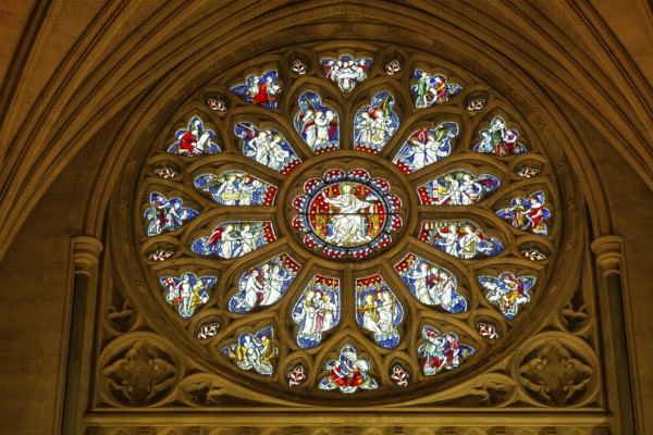 Round or rose stained glass window 1877 by Hardman, Bristol cathedral church, Bristol, England, UK