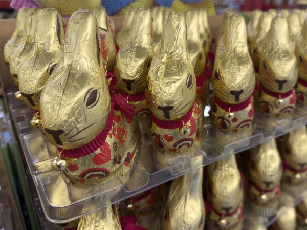 Display on retail shelf of wholesale chocolate Easter bunnies chocolate Easter bunnies chocolate Easter bunnies wrapped in gold-coloured tin foil, Germany, Europe