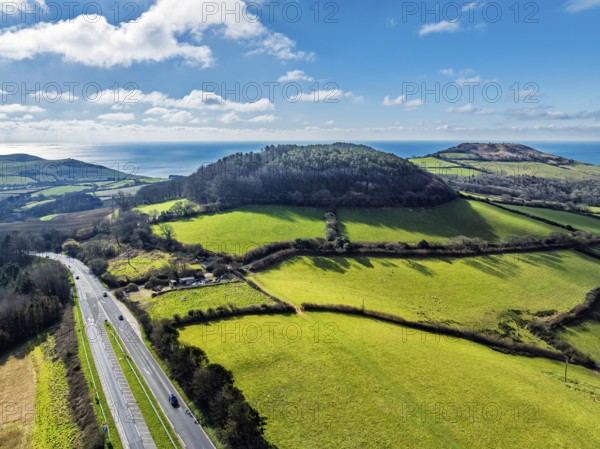 Farms over Road A35 from a drone, Morcombelake Village, Bridport, Dorset, England, United Kingdom, Europe