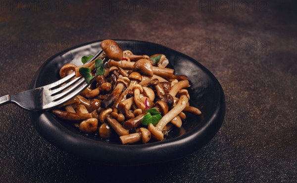 Pickled honey mushrooms, in a bowl, homemade, top view, no people