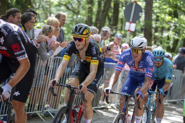 Lidl Deutschland Tour 2024 (cycling), 4th stage and last stage From Annweiler am Trifels to Saarbrücken (182, 7 KM) . Image: Arrival at the Kalmit, the highest mountain in the Palatinate Forest