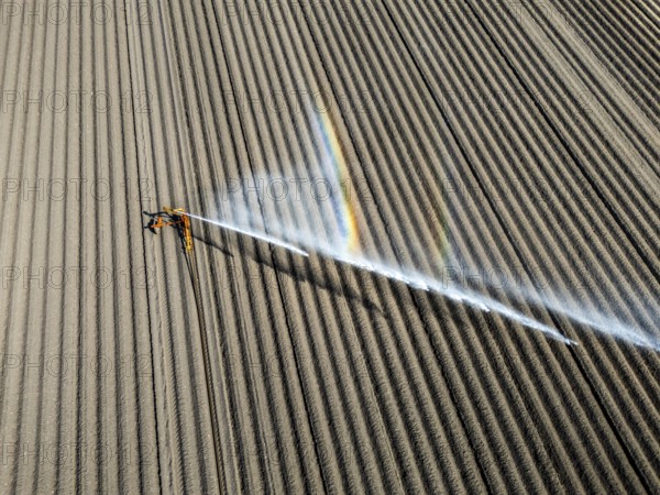Artificial irrigation of a potato field in April, with a sprinkler system, long drought in spring makes this necessary, for the total of 7.5 hectares 3 full days are needed to get the necessary moisture for the freshly sown potato plants, south of Straelen, Lower Rhine, North Rhine-Westphalia, Germany, Europe