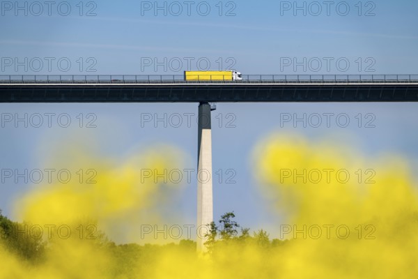 The Ruhr Valley Bridge, motorway bridge of the A52, crosses the Ruhr Valley between Essen and Mülheim an der Ruhr, truck on the bridge, rape field in the Ruhr Valley in bloom, North Rhine-Westphalia, Germany, Europe