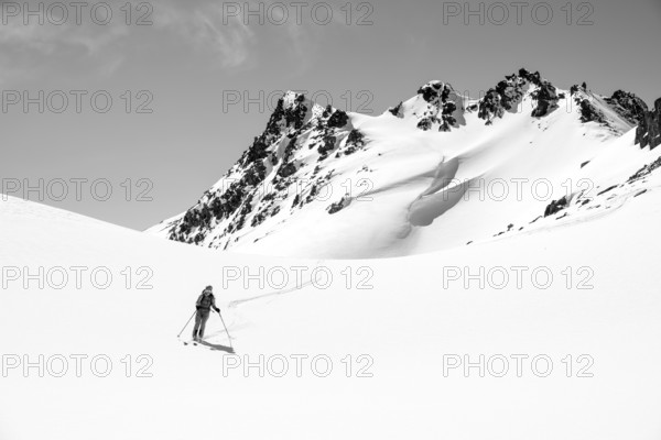 Ski tourer on the descent, minimalist winter landscape, white snow and dark mountains on the Scalettahorn, Graubünden, Switzerland, Europe