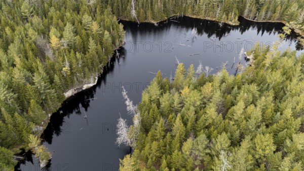 Lake in the boreal forest. Region of La Mauricie. Province of Quebec. Canada