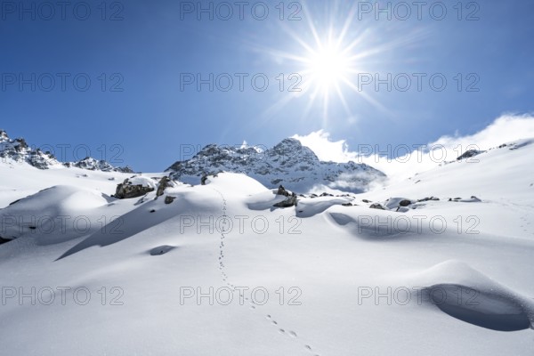 Picturesque snow-covered mountain landscape with summit Piz Kesch, Sonnenstern, ski tour Bündner Haute Route, Albula Alps, Rhaetian Alps, Grisons, Eastern Switzerland, Switzerland, Europe