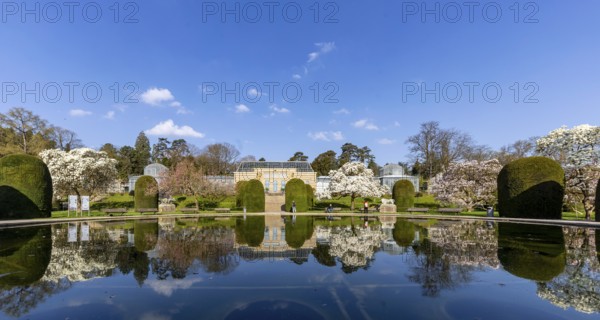 Water lily pond in the Wilhelma Zoological and Botanical Gardens in Stuttgart, with the historic greenhouse reflected in the water. Wilhelma Zoo is one of Stuttgart's landmarks. The magnolias (Magnolia) are in bloom. Stuttgart, Baden-Württemberg, Germany, Europe
