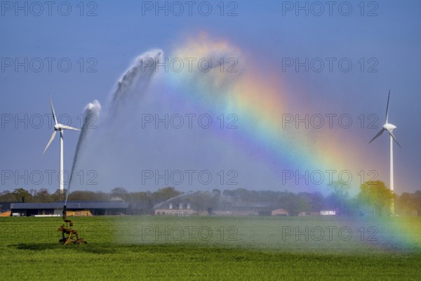 Artificial irrigation of a cereal field in April, with a sprinkler system, long dry spell in spring makes this necessary for the young plants to grow well, Kerken, Lower Rhine, North Rhine-Westphalia, Germany, Europe