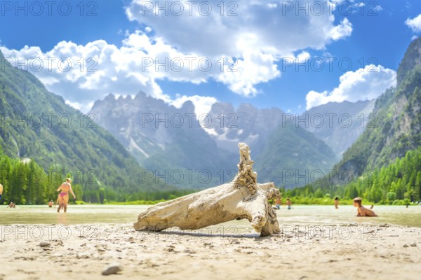 Tourists swimming in the stunning lago di landro, with the majestic dolomites rising in the background on a sunny summer day