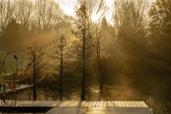 The Grugapark, Essen, botanical garden, park for leisure and recreation, by the forest lake, wooden walkways, autumn, Essen, North Rhine-Westphalia, Germany, Europe