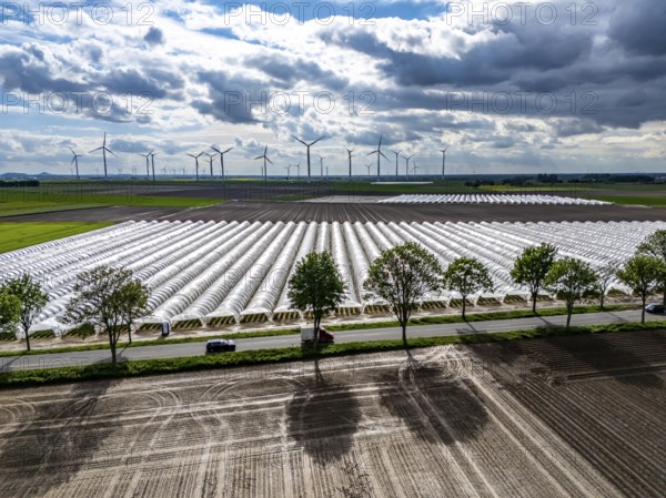 Agriculture, large areas with foil tunnel, for the cultivation of strawberries, freshly cultivated fields, wind farm, south of Lövenich, belongs to Erkelenz, in the district of Heinsberg