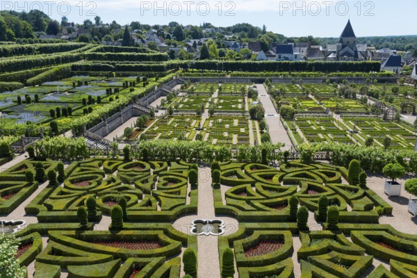 Geometrically designed garden with manicured hedges, labyrinth and architectural elements on a sunny day, Villandry Castle, Renaissance, Tours, Loire Valley, Centre-Val de Loire, France, Europe