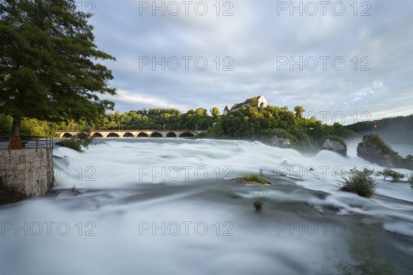 The Rhine Falls at Schaffhausen in Switzerland with Laufen Castle on the Rhine Falls. An extreme amount of water in 2024