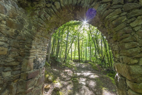 Ruins of the former Körse hilltop castle in Kirschau, Upper Lusatia, Saxony, Germany, Europe