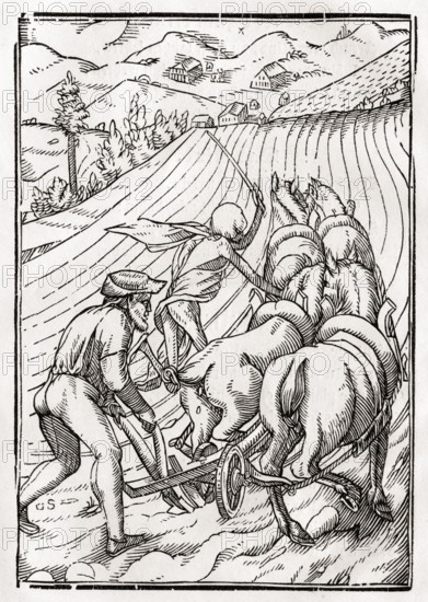Der Tod kommt für den Bauern oder den Hausmann Woodcut by Georg Scharffenberg after Hans Holbein the Younger from Der Todten Tanz, published Basel 1843, Death comes for the Farmer or Husbandman Woodcut by Georg Scharffenberg after Hans Holbein the Younger From Der Todten Tanz or The Dance of Death published Basel 1843, Historic, digitally restored reproduction from a 19th century original, Record date not stated