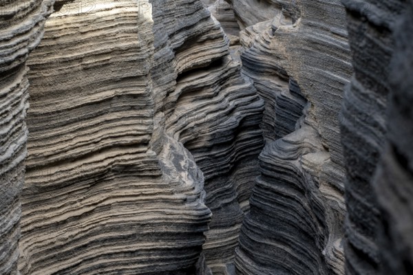 Las Grietas volcano columns, Lanzarote, Canary Islands, Spain, Europe