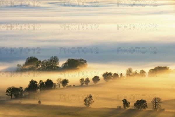 Scenics view at tree sticking up from in the morning mist in a rural landscape at sunrise with sun rays and shadows at autumn