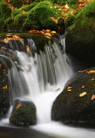 Waterfall in autumn, Kleine Ohe, Bavarian Forest National Park, Bavaria, Germany, Europe