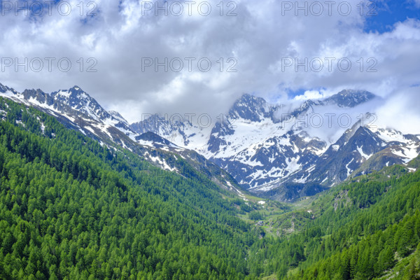 Mountain scenery in the Passeier Valley above Rabenstein, moss in Passeier, South Tyrol, Italy, Europe