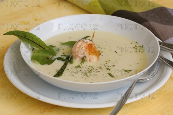Southern German cuisine, sorrel soup with char, freshwater fish, soup arranged in a plate, herbs, fresh sorrel, blood sorrel, dill, toothpick, savoury, salty, traditional cuisine, food photography, studio, Germany, Europe